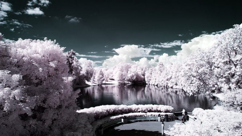 4147e6cd16f6ecf8f2f594f360a08337.jpg 攝影技巧:紅外攝影下的綠色變成了雪景(圖1)