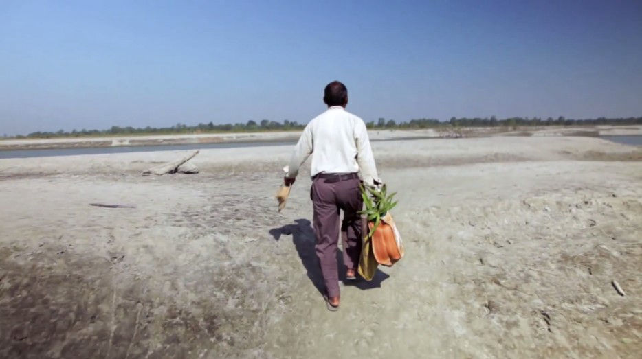 印度一島民堅持種樹35年，將550公頃荒島變森林--置頂表情