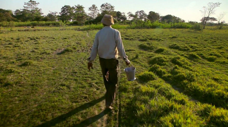 印度一島民堅持種樹35年，將550公頃荒島變森林--置頂表情