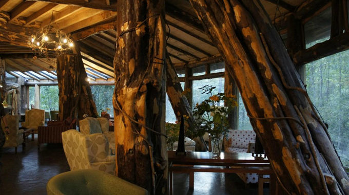 神奇的魔法木制酒店，童話森林里的城堡--置頂表情