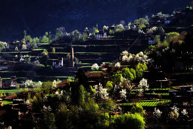 陶淵明筆下8個中國世外桃源，云南壩美真如桃花源--置頂表情