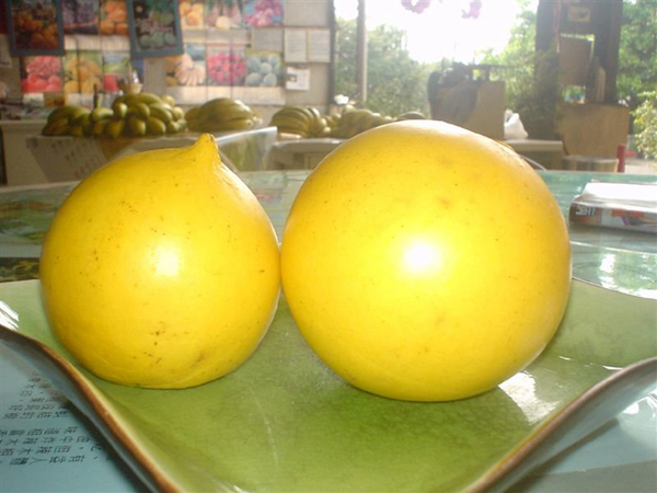 20種不常見但很好吃的怪異水果，非洲角瓜絕對是吃貨的追求--置頂表情