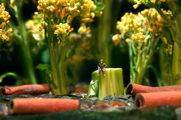 微距攝影的食物和人偶，每個都是不同的故事--置頂表情